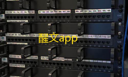 苹果手机和平精英灵敏度醒文app